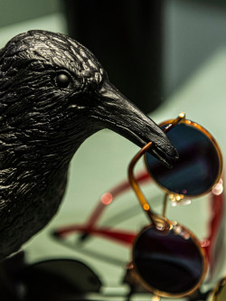 Unheimliche Stilexperten