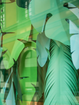 Bringe das Fenster zum Blühen