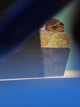 Der Hase hält Winterschlaf