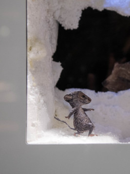 Fröhliche Winternacht