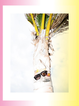 SOMMER SYMBOLE