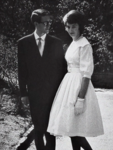 ROOST-FILM: EPISODE 2